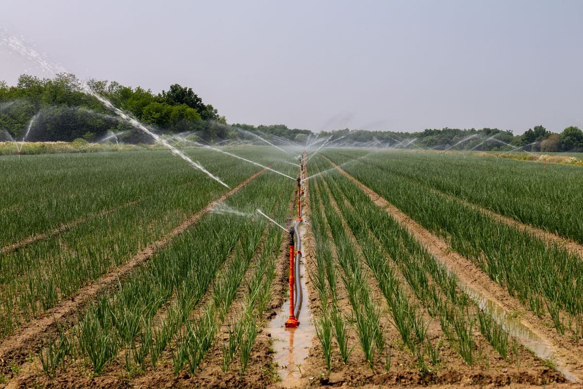 Tata Agrico Irrigation & Agricultural Pipes Price & Buying Guide in Panchkula, Chandigarh & Zirakpur (2026)
